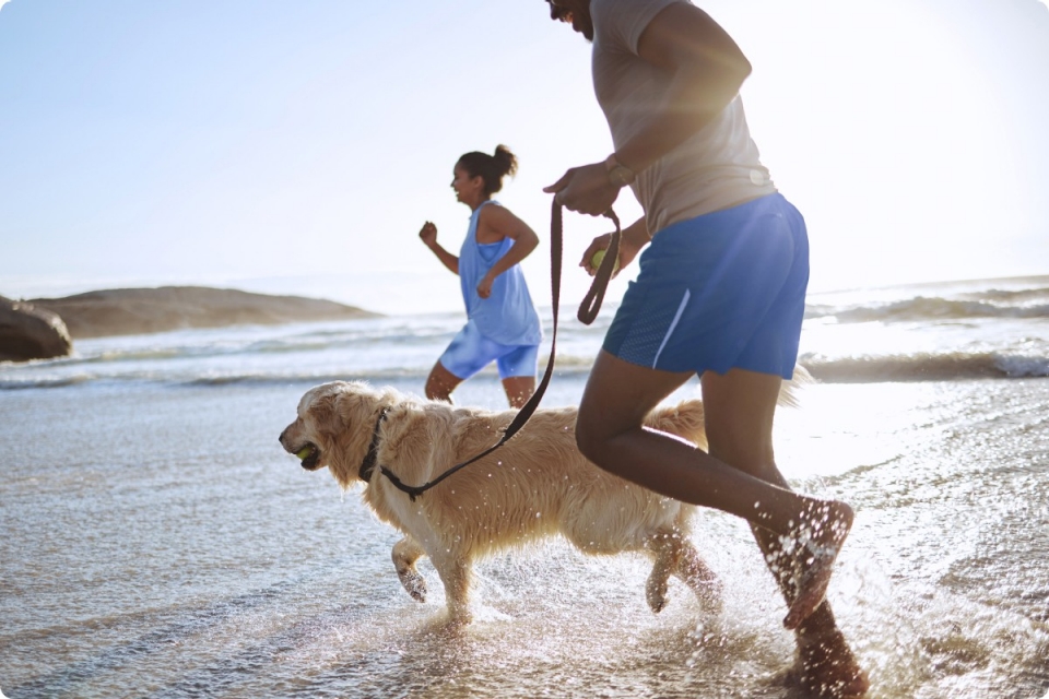 man in blue shorts and woman in blue shorts and shirt run along beach with golden retriever dog