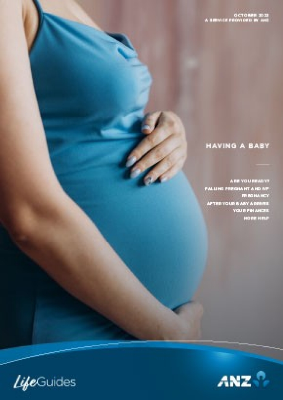 Cover of Having a Baby Life Guide