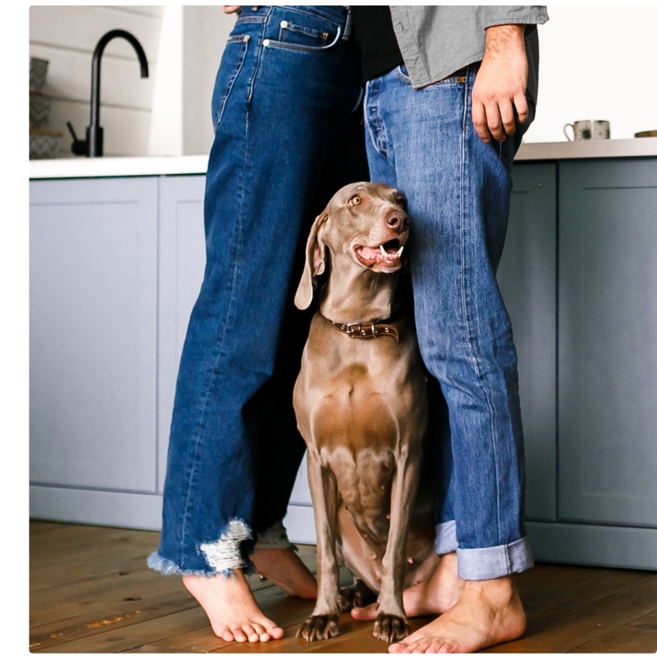 Dog between a couple's legs standing in the kitchen