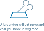 A larger dog will eat more and cost you more in dog food.