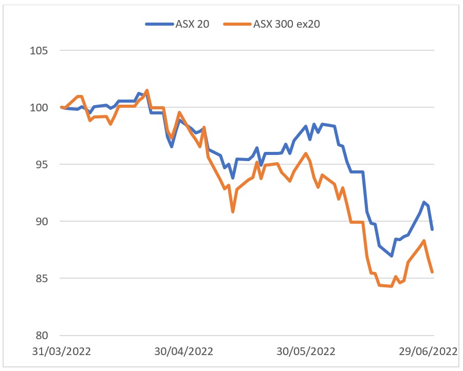 Graph showing ASX 20 vs. ASX 300 ex-20 – Q2 Performance data